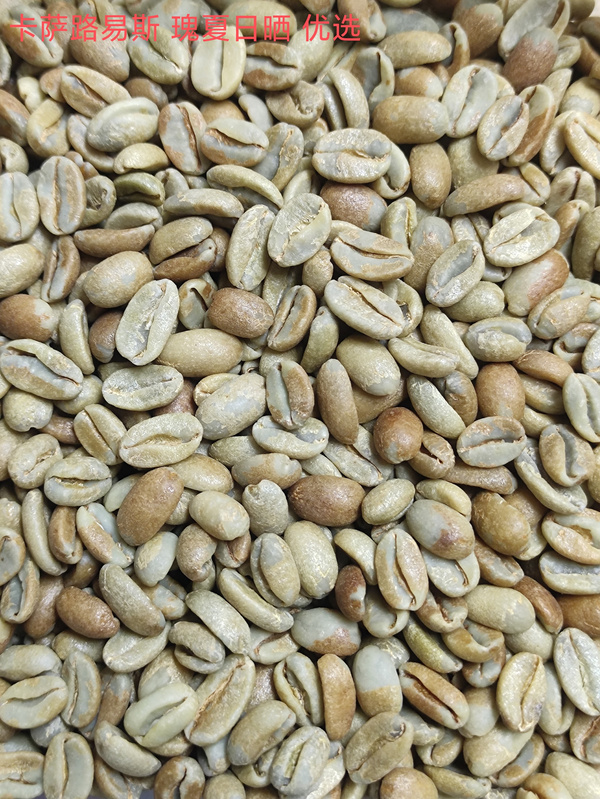 卡萨路易斯-瑰夏-日晒-优选 