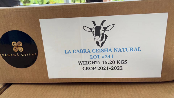 山羊庄园-瑰夏-日晒 LOT-341