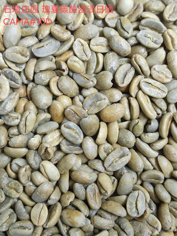 石墙庄园瑰夏碳酸浸渍日晒CAMA #10D