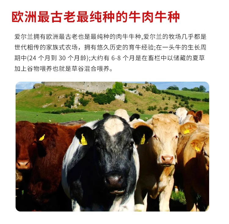 爱尔兰进口原切牛肉 日式肥牛卷 300g