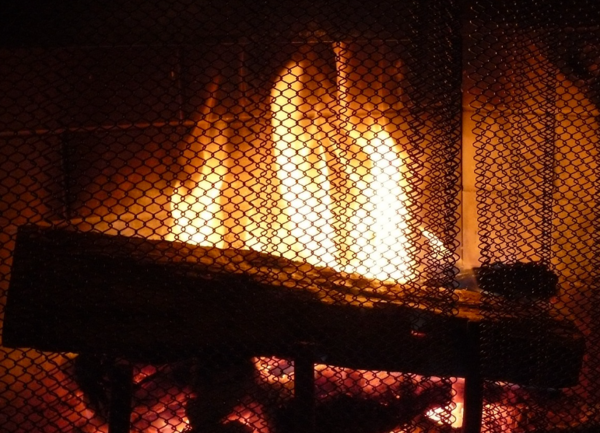 电热方形平头炉：高效能源与多功能烹饪的完美结合