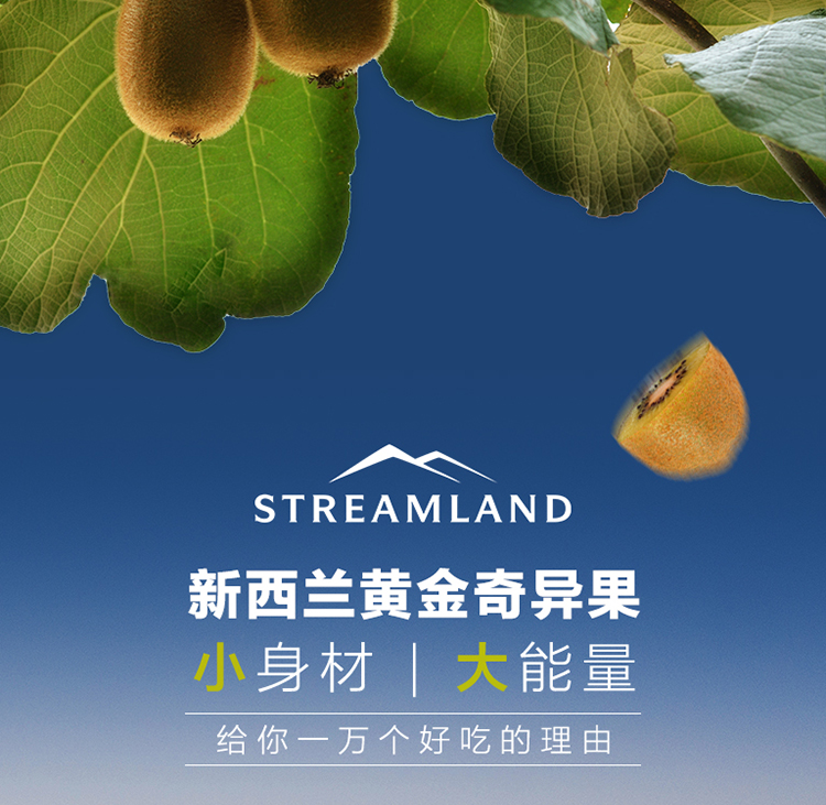 streamland 新溪岛奇异果口味蜂蜜