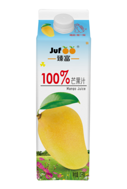 100%芒果汁-1kg屋顶盒