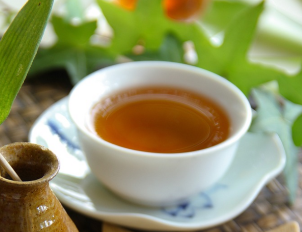菊香普洱：品味古老的茶文化