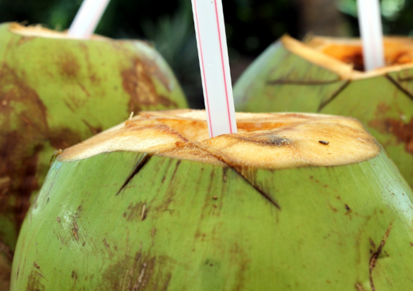 冷冻椰子水：清凉解暑的热带美味