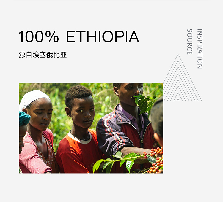 LEBUNNA埃塞俄比亚 花魁7.0 浅烘焙精品手冲单品咖啡豆200g/袋
