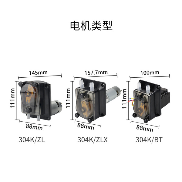 杰恒304K OEM蠕动泵