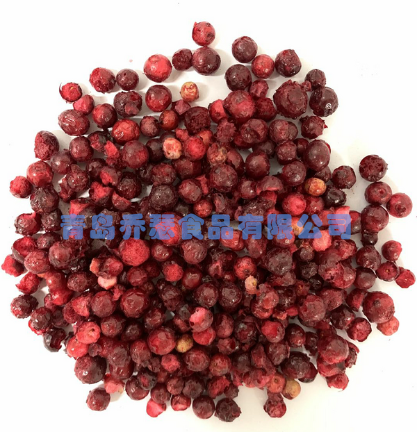 凍干越橘