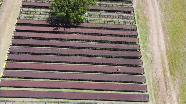 肯尼亚 玛拉 厌氧日晒 石光咖啡生豆