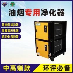 DY-A低空靜電式油煙凈化器