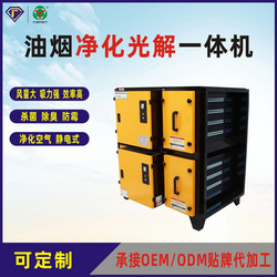 DY-AUV油煙光解一體機(jī)
