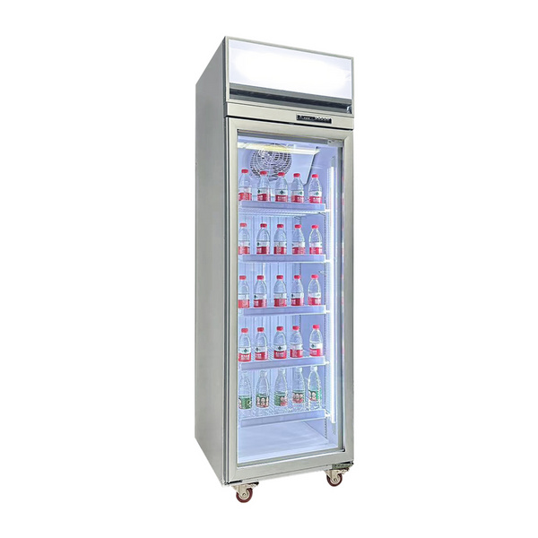 Vertical single door 500 litre glass business freezer for sale