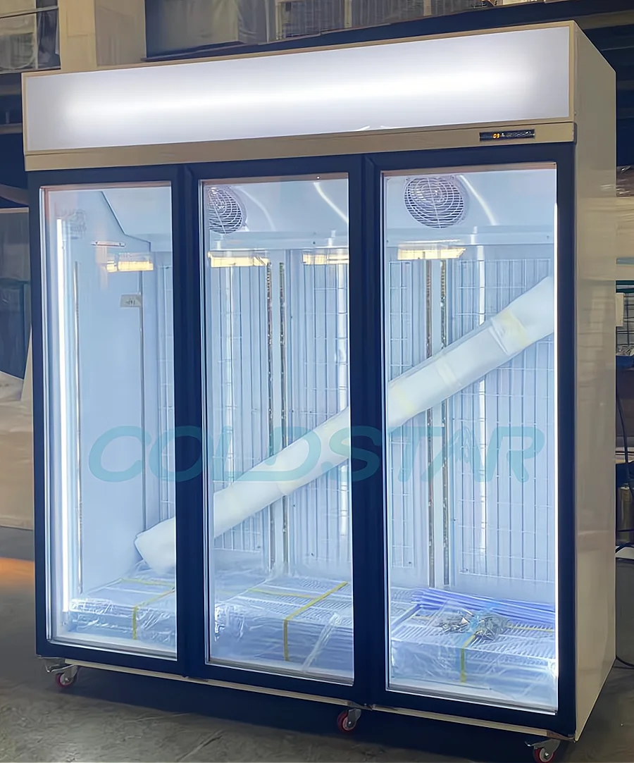Bottle Fridge Drink Showcase Vertical Glass Door Equipment Fan Cooling Bar Frigo Cooler