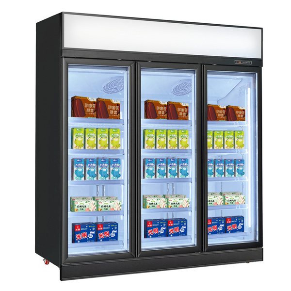 Supermarket Refrigerator Ice Cream Display Gelato Frost Free Fridge Freezer