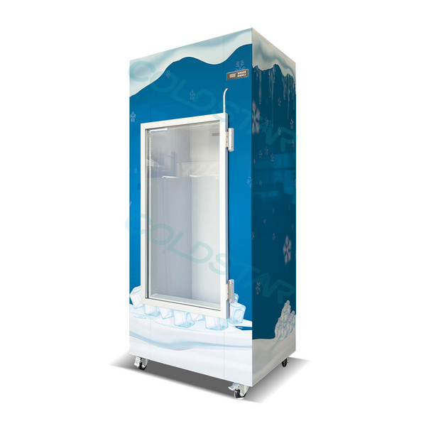 Vertical Cold Storage Glass Door Freezer Ice Bags Storage Bin Ice Bags Container Refrigerator