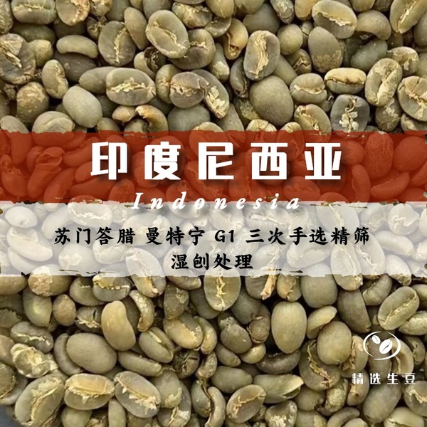 印度尼西亚 苏门答腊 曼特宁 G1 三次手选精筛 湿刨处理