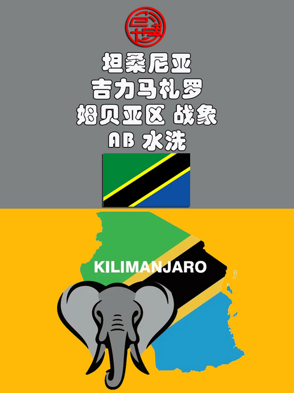 坦桑尼亚 吉力马札罗 姆贝亚区 战象 AB 水洗