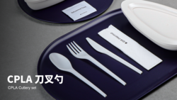 CPLA刀叉勺套装