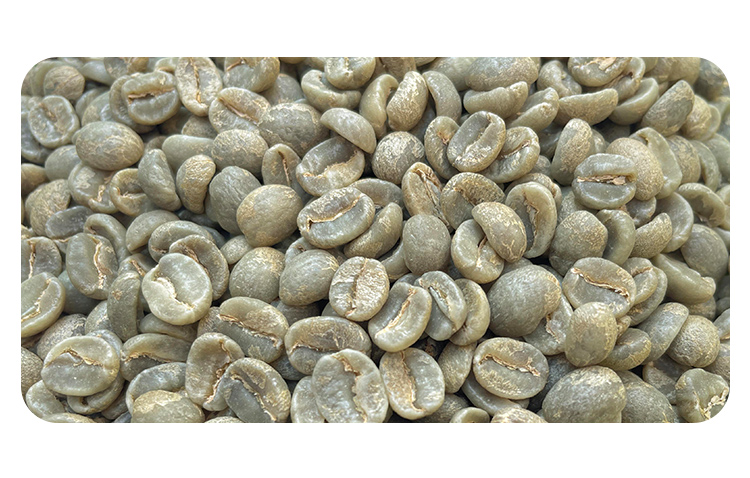 危地马拉精品咖啡生豆圣马丁San Martin 波旁/卡杜拉 水洗