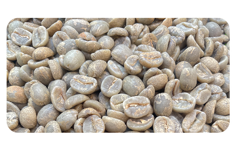 危地马拉小王子庄园 黄卡杜艾 水洗精品咖啡生豆