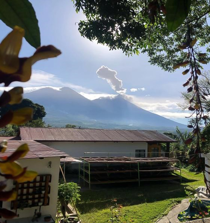 危地马拉 拉森达La Senda庄园 波旁 厌氧日晒精品咖啡生豆
