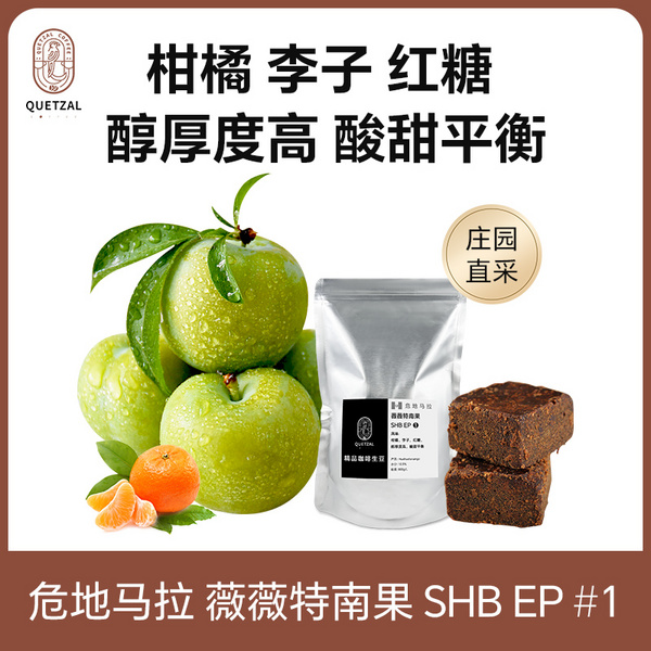 危地马拉 薇薇特南果 SHB EP #1高级商业豆