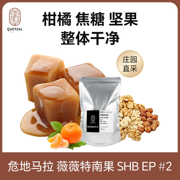 危地马拉 薇薇特南果 SHB EP #2高级商业豆