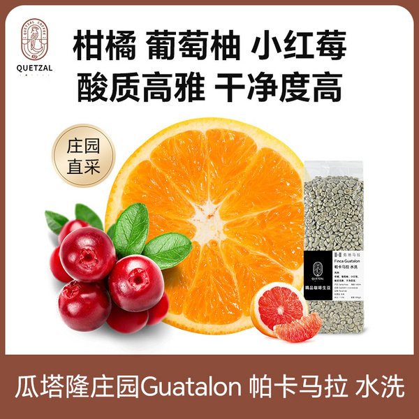 危地马拉瓜塔隆庄园 Guatalon 帕卡马拉 水洗 精品咖啡生豆