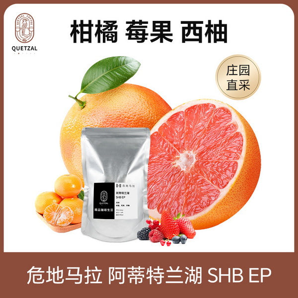 危地马拉 阿蒂特兰湖 SHB EP高级商业豆