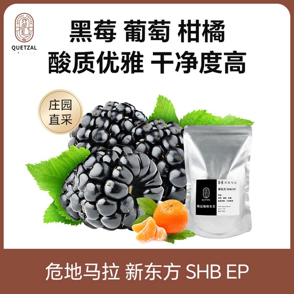 危地马拉 新东方 SHB EP高级商业豆