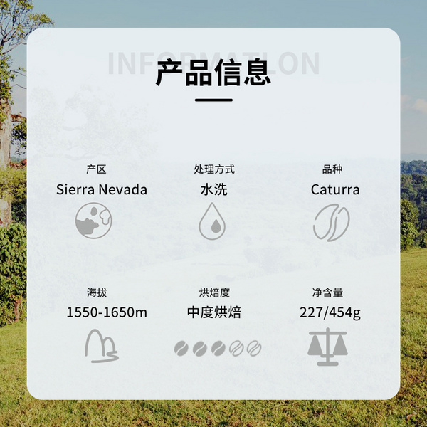 哥伦比亚 雪山 水洗咖啡豆