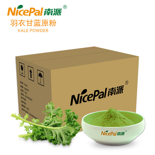 南派羽衣甘蓝原粉