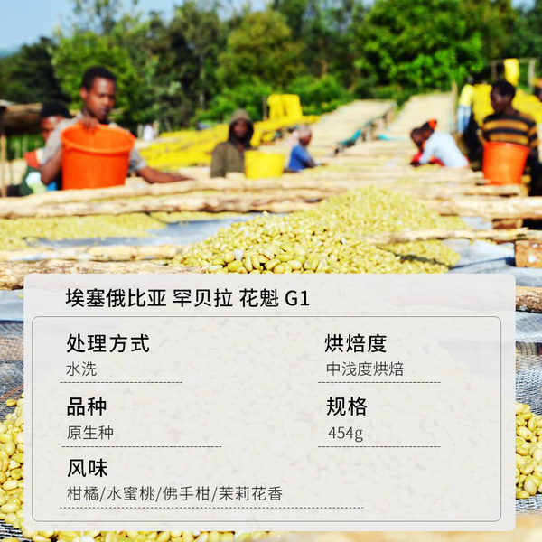 埃塞俄比亚 花魁SOE 水洗G1