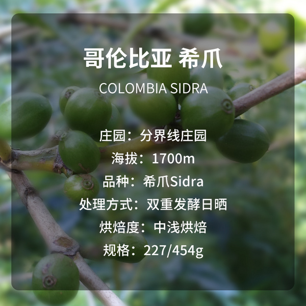 哥伦比亚 希爪 双重厌氧水洗