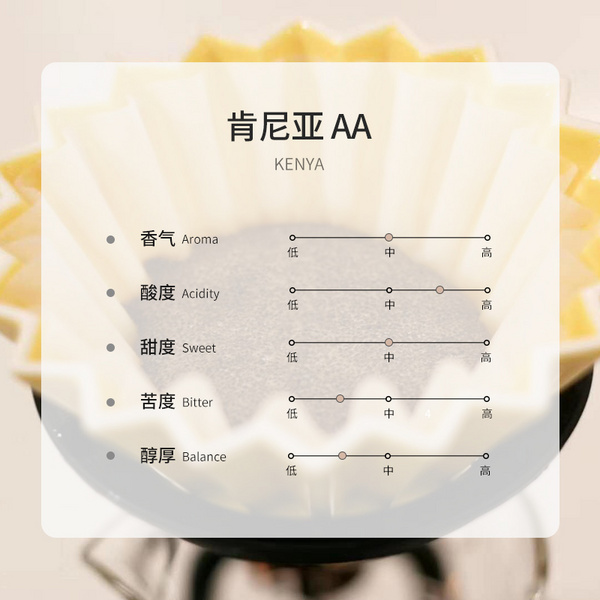 肯尼亚 AA TOP 水洗