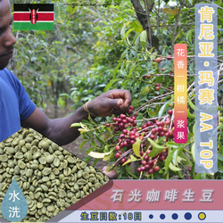 肯尼亞 瑪賽 AA TOP 石光 咖啡生豆