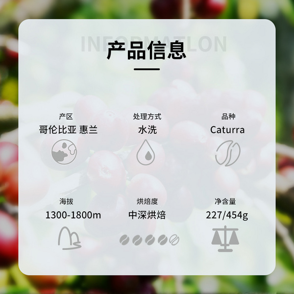 哥伦比亚 蕙兰 水洗咖啡豆