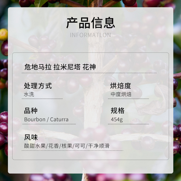 危地马拉 花神水洗SOE