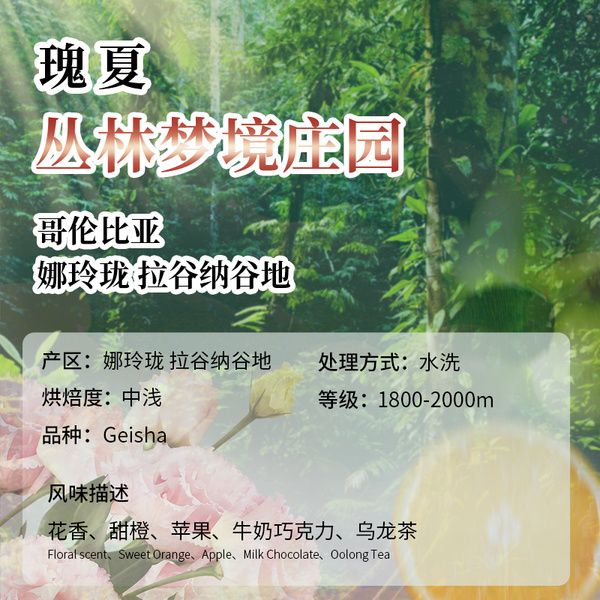 哥伦比亚 丛林瑰夏 水洗