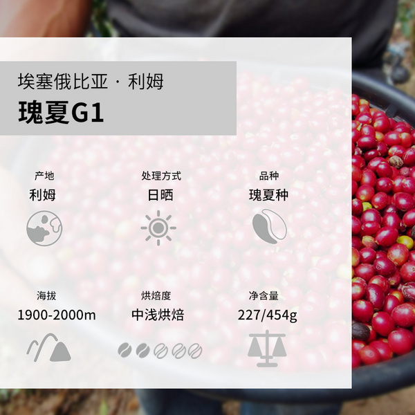 埃塞俄比亚 利姆瑰夏日晒G1