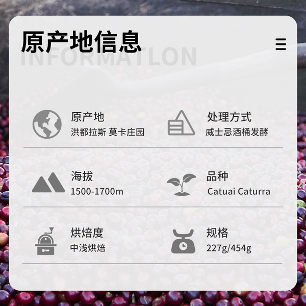 洪都拉斯 雪莉咖啡豆