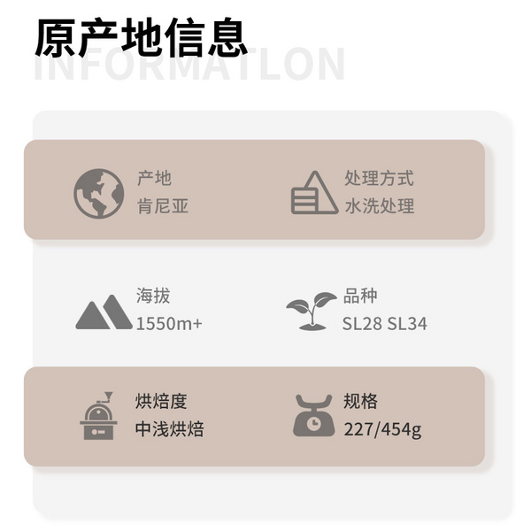 肯尼亚 AA TOP 水洗