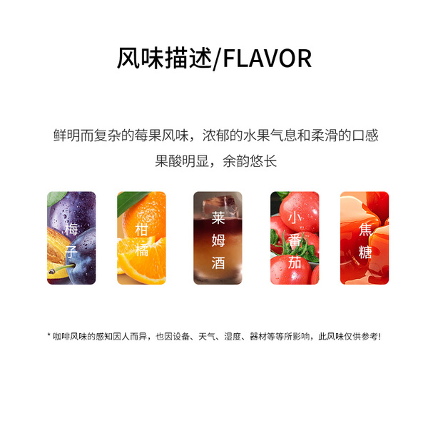 肯尼亚 AA TOP 水洗