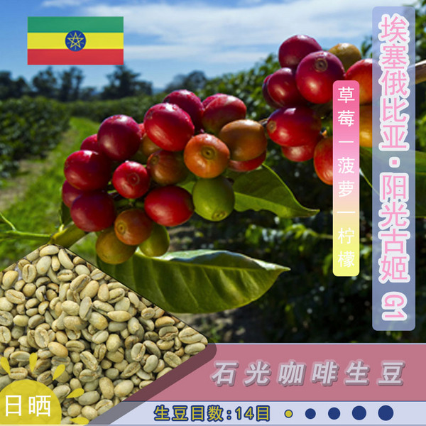 埃塞俄比亚 阳光古姬 G1 日晒 石光 咖啡生豆 