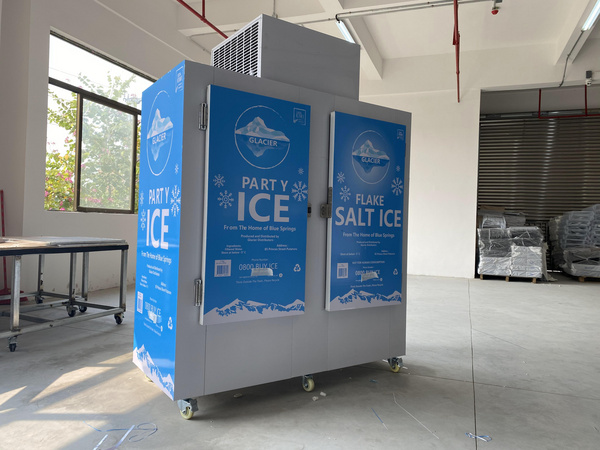 Ice Merchandiser Outdoor Slanted Solid Door Bagged Ice Storage Freezer