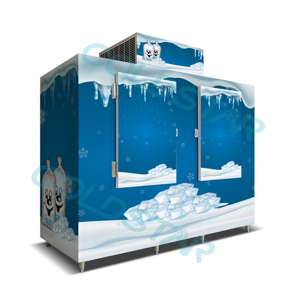 Ice Merchandiser Outdoor Slanted Solid Door Bagged Ice Storage Freezer