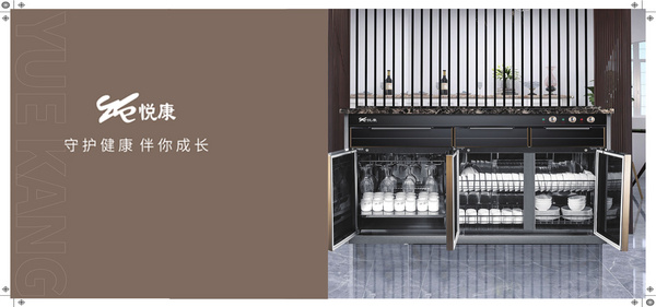 广东悦康电器有限公司