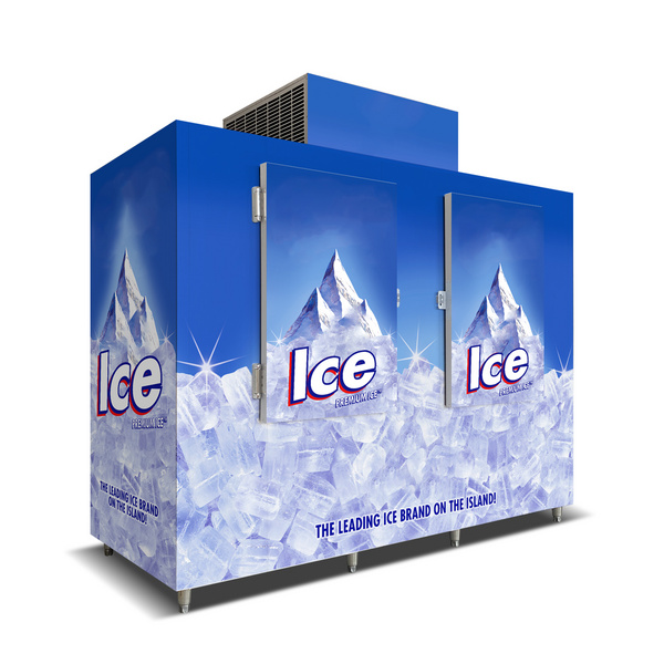 Ice Merchandiser Outdoor Slanted Solid Door Bagged Ice Storage Freezer