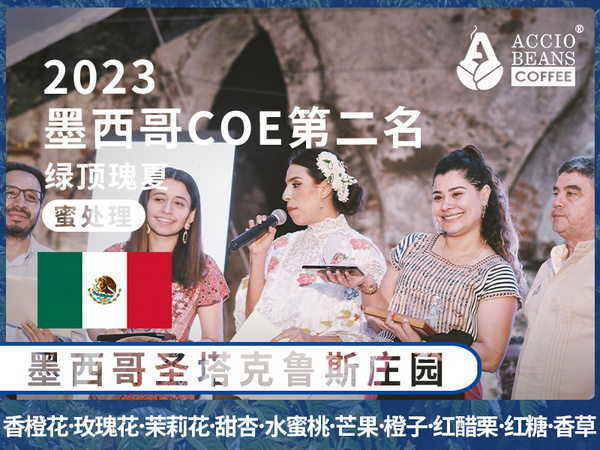 2023墨西哥COE第二名