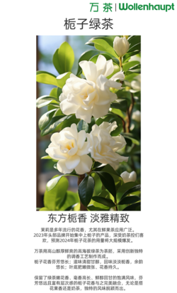 梔子綠茶